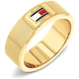 Tommy Hilfiger H-LINK 2790686G - gold - 62