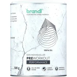 Preworkout Performance Orange Stufe 3 Pulver