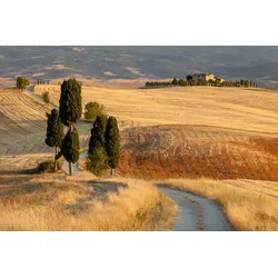 Fototapete PAPERMOON "Landschaft", bunt, B:5,00m L:2,80m, Vlies, Tapeten