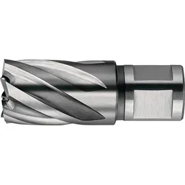 Bosch PRO SDS max-4 Hammerbohrer Ø 25,00 mm 1 St.