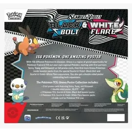Pokémon Black Bolt & White Flare Poster Collection