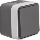 Berker Wechselschalter, grau/lichtgrau matt 30763505