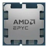 AMD EPYC 4464P 12C/24T, 3.70-5.40GHz, Tray (100-000001478)