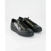 Paul Green 4081 black lacquer 37,5