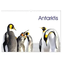 Calvendo Antarktis - viaje.ch (Wandkalender 2026 DIN A3 quer),