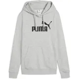 Puma Hoodie Grau XXL