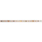 Rutec Licht Rutec Licht, LED Streifen, VARDAFLEX EcoPlus LED-Strip B82475 ** 24V 48W 3000K 906lm/m 5m B:8mm CRI90 (500 cm, Indoor)