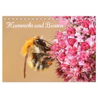 Calvendo Hummeln und Bienen (Tischkalender 2026 DIN A5 quer),