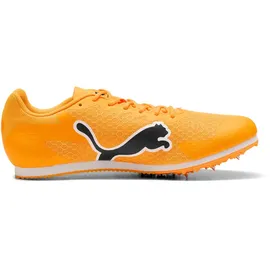 Puma Evospeed Star 9 Herren Sun Stream/Puma Black/Puma White 40
