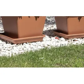 Veca Veneta Casalinghi Campana 42 x 42 cm Terra