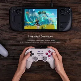 8bitdo Pro 2 Controller Grau für Switch / PC