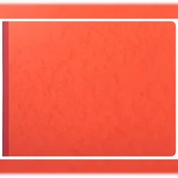 Exacompta 18150E Account Book 29.7x38 15 Col 35 Line 80Pg - Farben sortiert