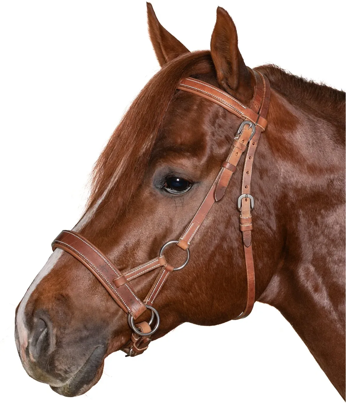 L-pro West Sidepull Cairns brown Pony