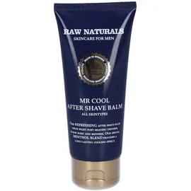 primor international zrt Raw Naturals Mr.Cool After-Shave Balm 100 ml