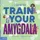 Free Spirit Publishing How to Train Your Amygdala