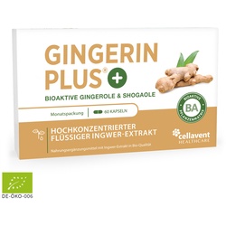 Bioaktiver Ingwer-Extrakt – Gingerin® PLUS