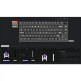 Keychron Q1 HE Gateron Nebula Switch QWERTY