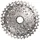 Sram XG-1250 12-fach 10-36