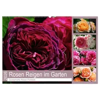 Calvendo Rosen Reigen im Garten (Wandkalender 2026 DIN A2