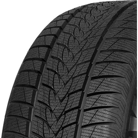 MINERVA Frostrack UHP 295/35 R21 107V