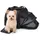 ROCKBROS Transport-Fahrradtasche für Katzen und Hunde schwarz