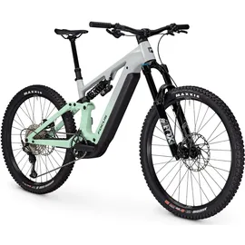 Focus Sam2 6.8 2025 29 Zoll RH 46 cm Unisex Lightgrey / Macha
