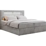 MKS Boxbett, GOLD-5 Led, 160/200 Hellgrau Velvet - H4
