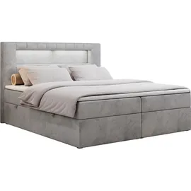 MKS Boxbett, GOLD-5 Led, 160/200 Hellgrau Velvet - H4