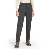 Icebreaker Merino Elevation Stretch Hosen grau 31