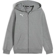 Puma teamGOAL Casuals Kapuzenjacke Jungen 33 medium gray heather/white 128