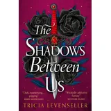 Pushkin Children's Books The Shadows Between Us