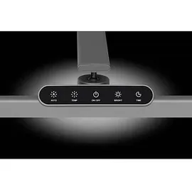 Hansa Flow Anthrazit