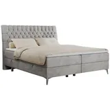 MKS Boxbett, MILEN 160/200 Hellgrau Velvet - H4