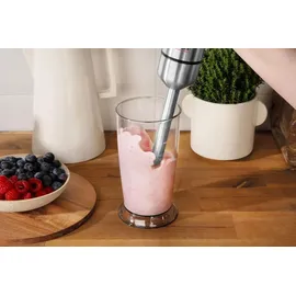 GASTROBACK Design Power 40972 Stabmixer Set 5-in-1