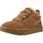 Chestnut 36