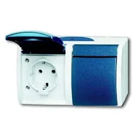 Busch-Jaeger Doppelsteckdose 20/2 EBW-53 Blau-Grün 2 St.