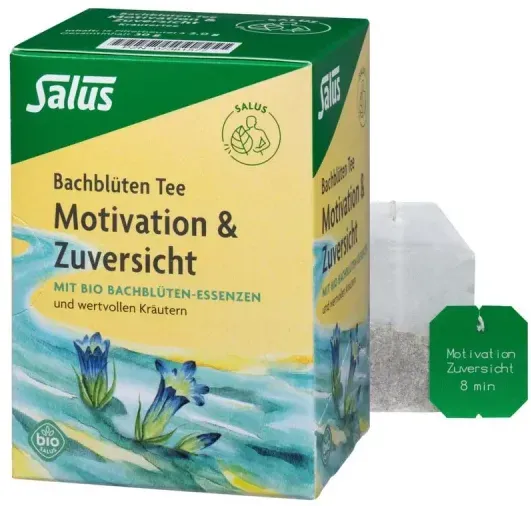 Salus Bachblüten Tee Motivation (15Btl)