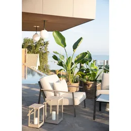 Brafab Lyra Gartensessel 79 x 98 x 78 cm grau 1 St.