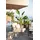 Brafab Lyra Gartensessel 79 x 98 x 78 cm grau 1 St.