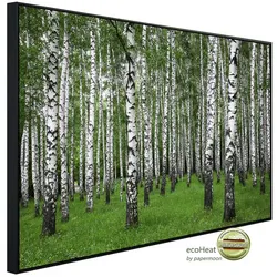 papermoon Infrarotheizung »EcoHeat - Sommer Birkenwald«, Matt-Effekt - bunt