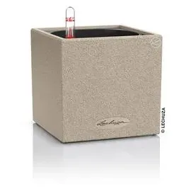 LECHUZA Canto Stone 14 Komplettset 14 x 14 x 13,5 cm sandbeige