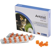 Selectavet Antinol für Katzen 60 Kapseln