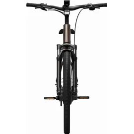 tenways AGO Air Pro 2026 28 Zoll RH 43 cm Damen braun