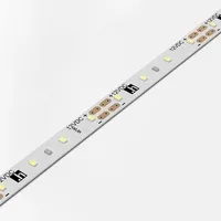 Halemeier LED-Anbauleuchte Versa Inside 80 12VDC cw L5m 4,8W/m