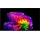 LG OLED55G67LW 55" 4K OLED evo AI Smart TV G6
