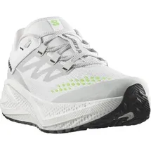 Salomon Aero Glide 3 Herren Grau / Weiß / Silber 45