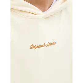 Jack & Jones Junior JACK & JONES Jornorrebro EMB SWEAT HOOD NOOS Jnr - 176