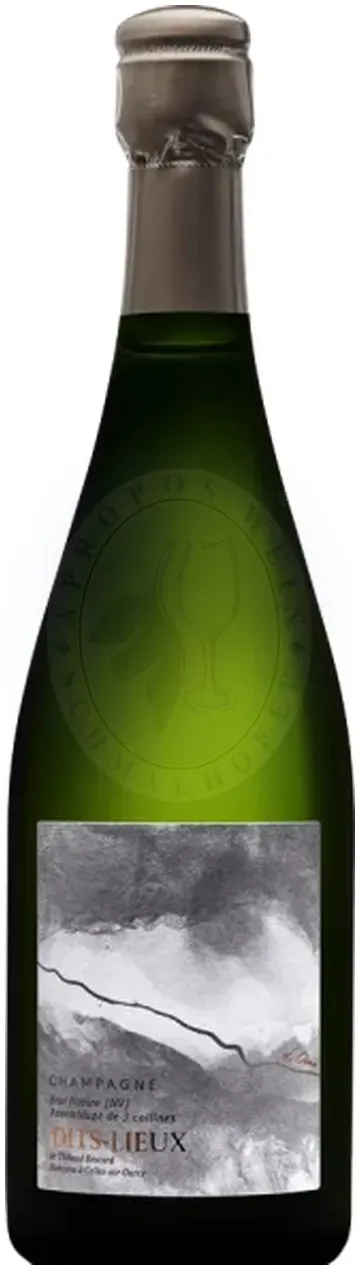 Dits Lieux Brut Nature Champagne Brocard 0,75l