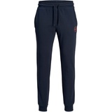 JACK & JONES Gordon Shark Sweat PANTS Schwarz