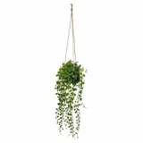 Atmosphera Créateur d'intérieur - Künstliche Hängepflanze Living - H10 -5 cm